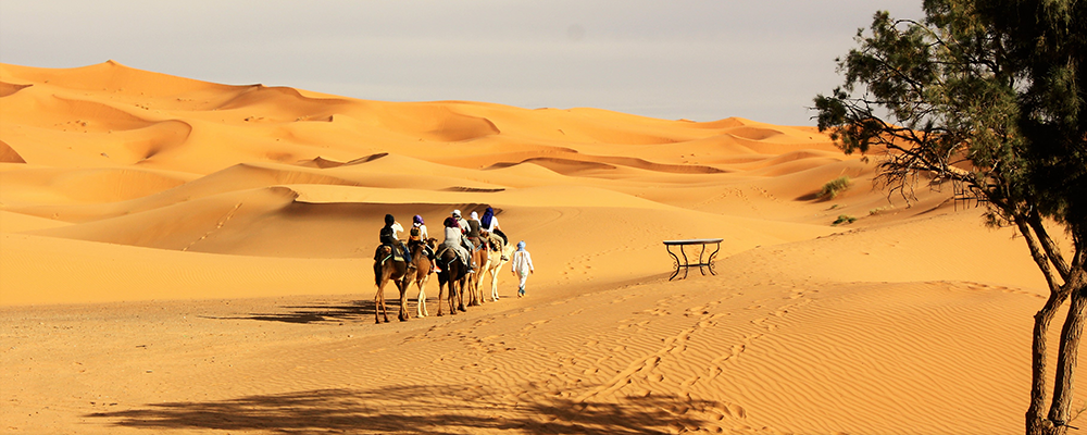 Deserto de merzouga Wakha Marrocos Tours